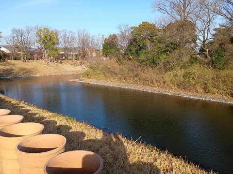 20260301今城カモ (2)