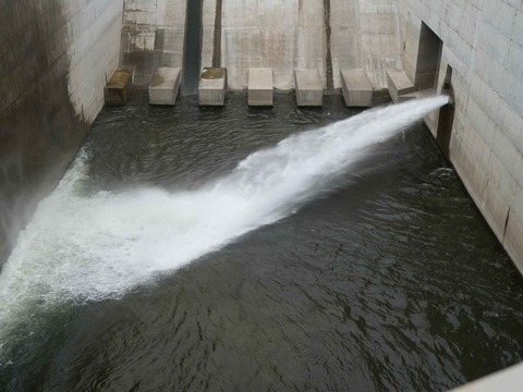 20240819安威川ダム (24)