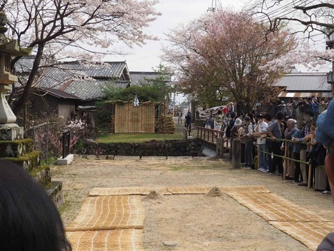 20240407大蛇祭り (78)