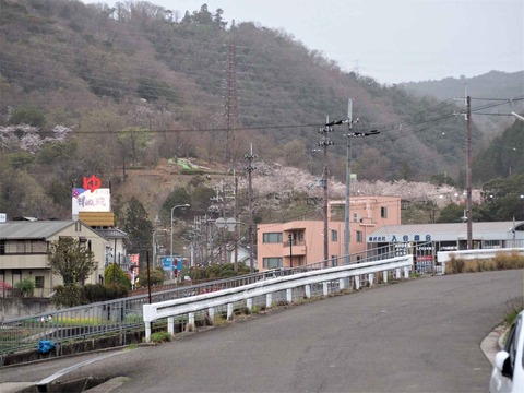 20230325摂津峡遠景 (3)