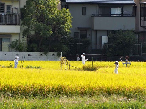 20221002氷室 (3)