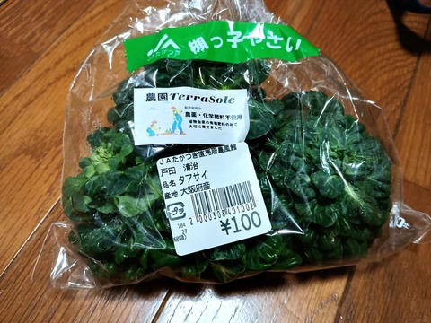 20260220タアサイ (1)