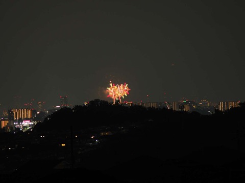 20220827なにわ淀川花火 (129)