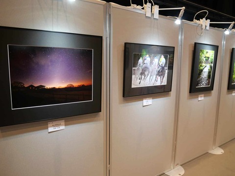 202509美術展 (116)