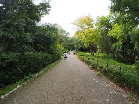 20221022万博記念公園 (74)