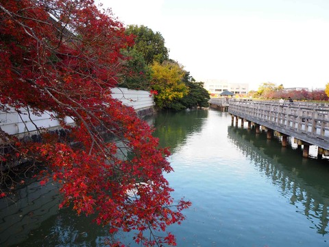 20211123長岡天神 (14)