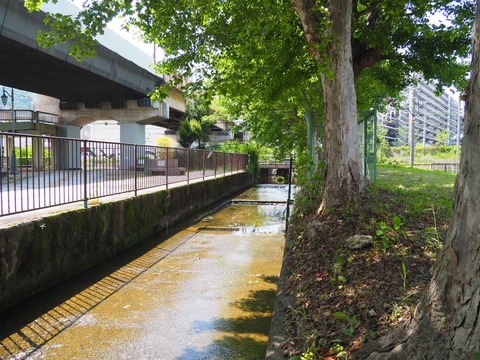 20230520島本町レンガ (7)