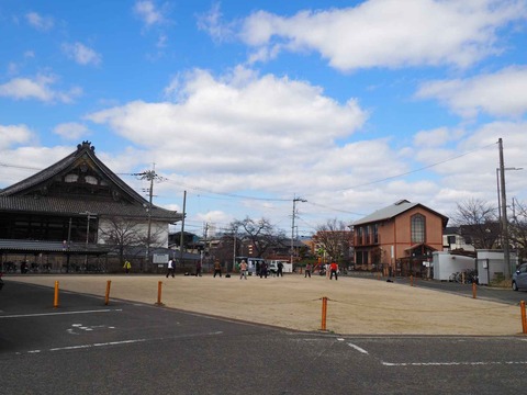 20230303河津桜筒井池 (2)