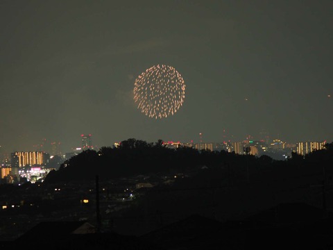 20220827なにわ淀川花火 (35)