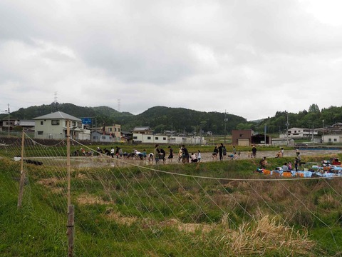 20230506樫田田植え (3)