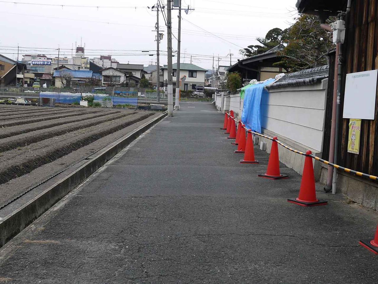 石川石足