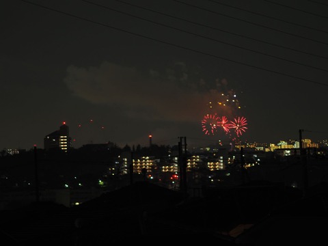 20221126万博花火 (20)