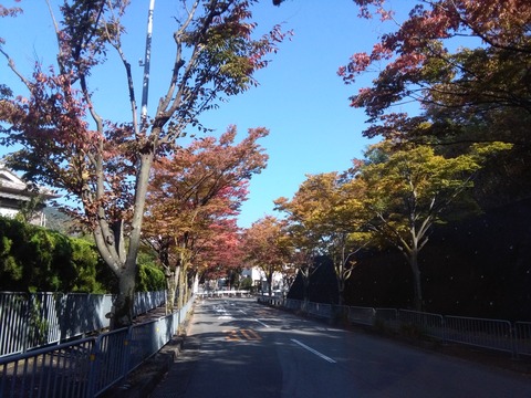 aki_hon2