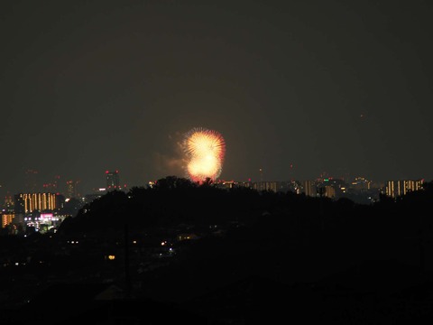 20220827なにわ淀川花火 (132)