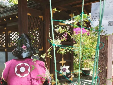 20230423永井神社 (5)