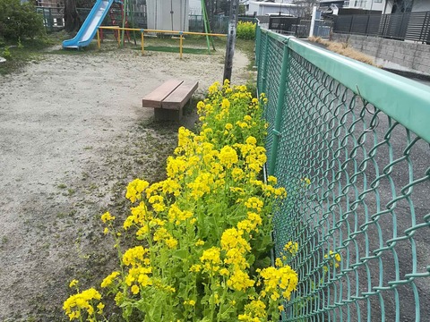 202402330西真上 (7)
