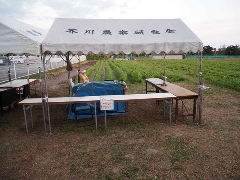 20221029即売会 (2)