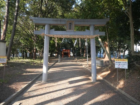 20260217アジャリの森 (1)