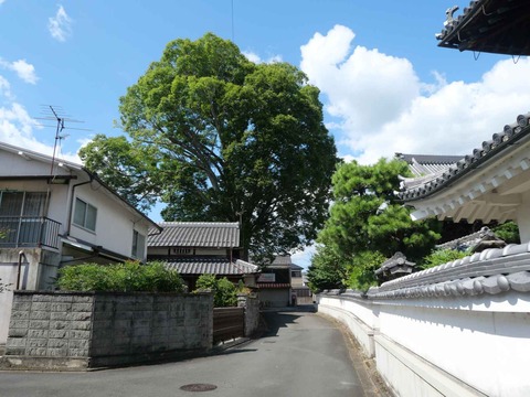 20240818園田城 (118)