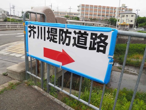 20220618大蔵司堤防 (10)