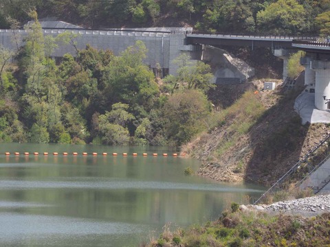 20230413安威川ダム (17)