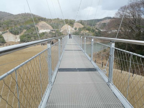 20250317吊り橋 (73)