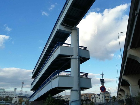 20211116芝生大橋歩道 (6)