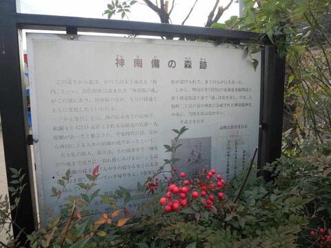 20260121上牧コスモス公園 (8)