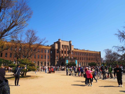 20230319大阪城公園 (37)