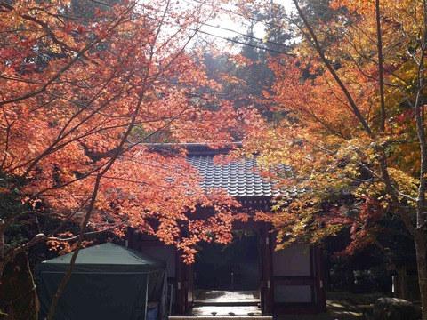 kabuzan20181127_3
