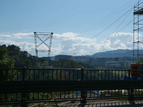 20240817吊り橋 (4)