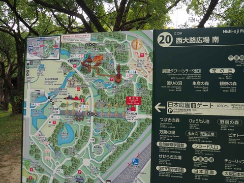20221022万博記念公園 (11)