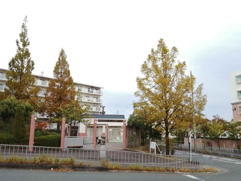 202110紅葉 (6)