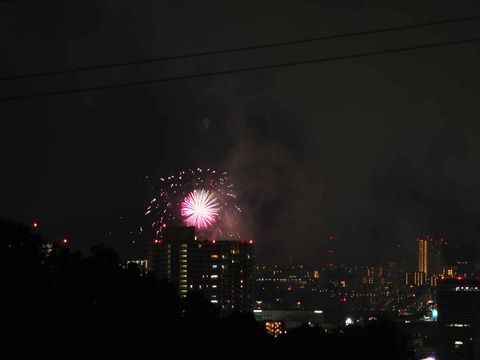 20220904くらわんか花火 (154)