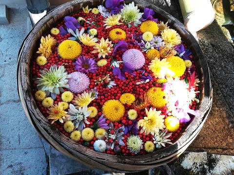 20250103野見神社 (3)