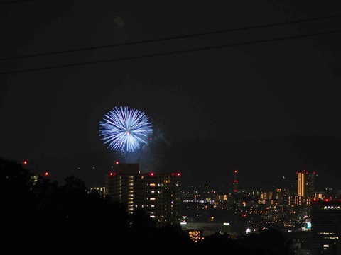20220904くらわんか花火 (2)