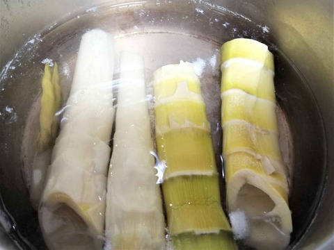 20230611はちく (3)