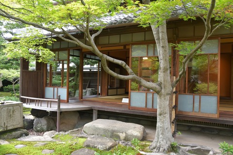 DSC_7150