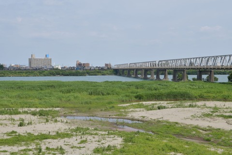 DSC_8595