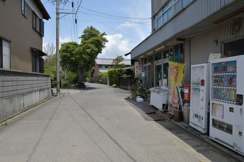 DSC_8346
