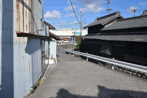 DSC_7176
