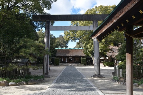 DSC_7167 (1)