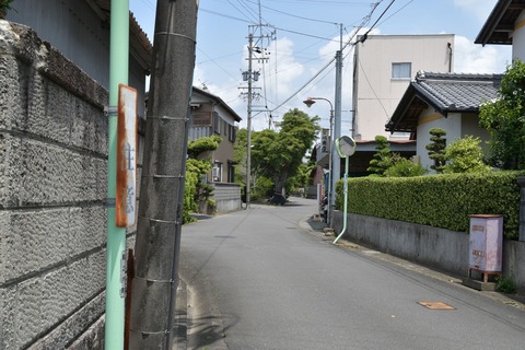 DSC_8343