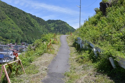 DSC_8233