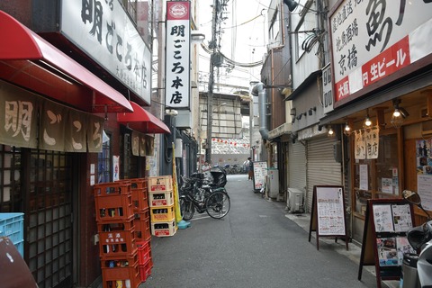 DSC_2010