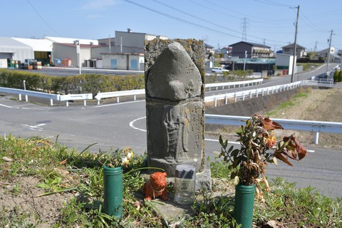 DSC_7862