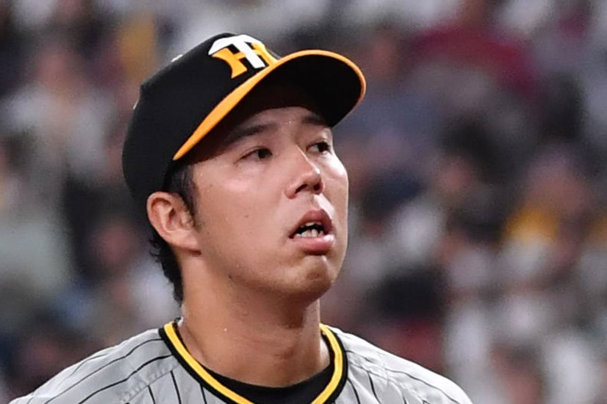 【悲報】ヤギさんに対して明らかに悪意のある撮影、、、