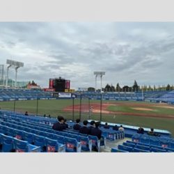 外野席で9000円！神宮球場「ヤクルト×阪神」3塁側で起きた仰天「アレ」インフレ