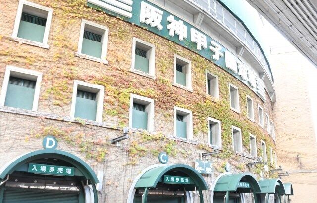 阪神の22歳、井上選手が一般女性と結婚