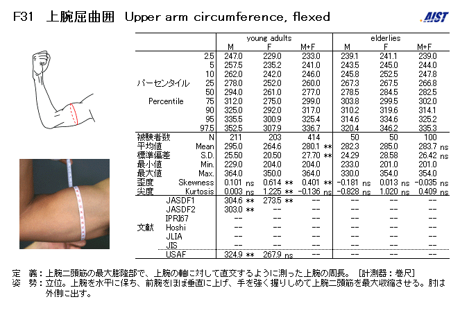上 腕 35cm は 明 ら か に 太 い カジ筋まとめ 上 腕 35cm は 明 ら か に 太 い カジ筋まとめ